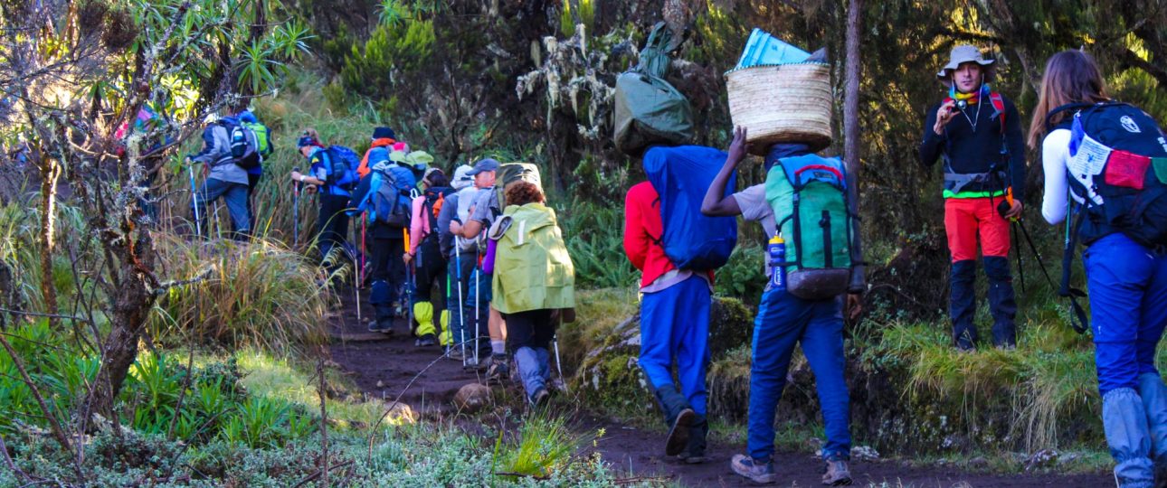 Lemosho vs Marangu Route