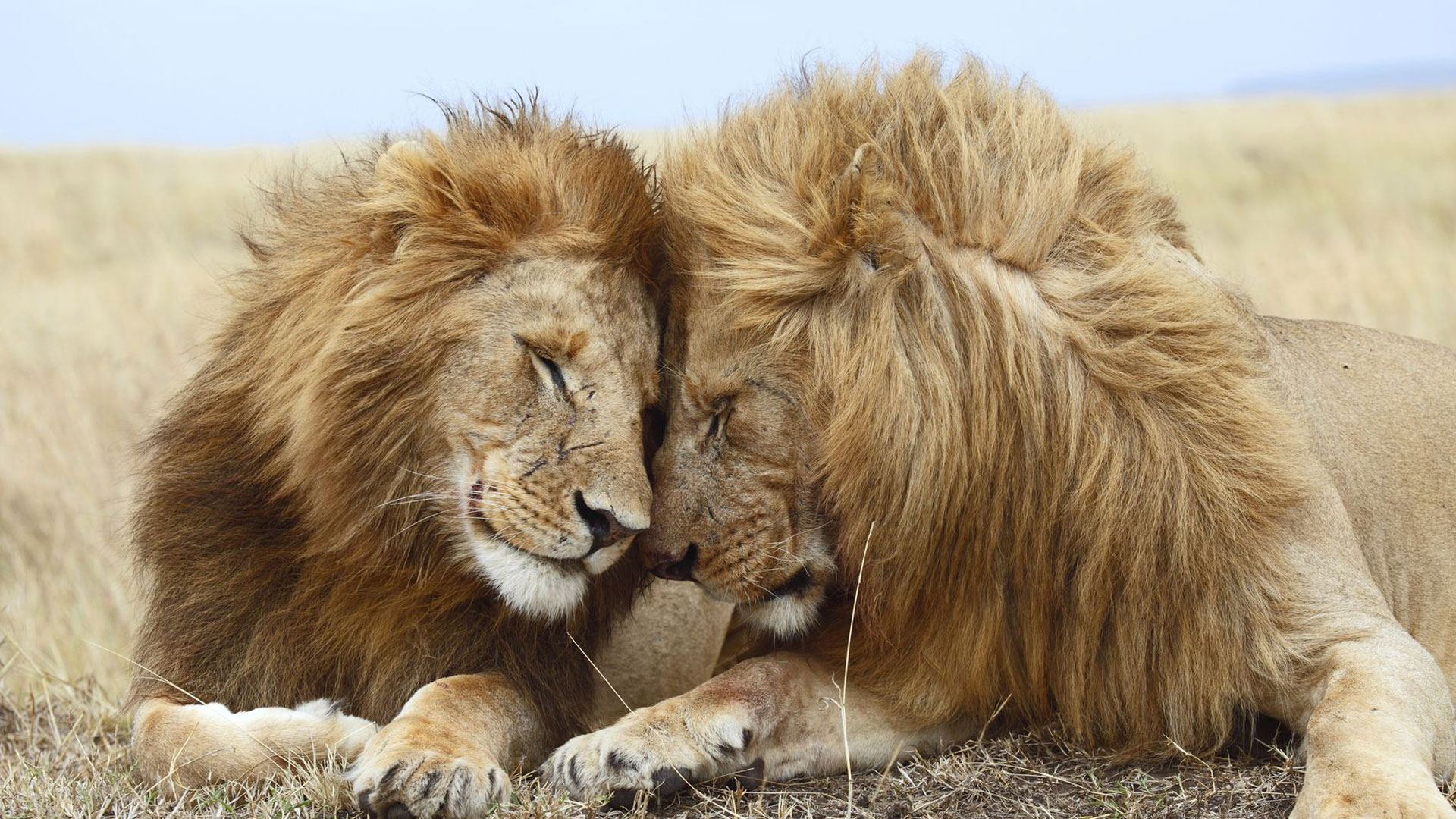 Recommended Adventure Safari Itineraries for 2026/2027
