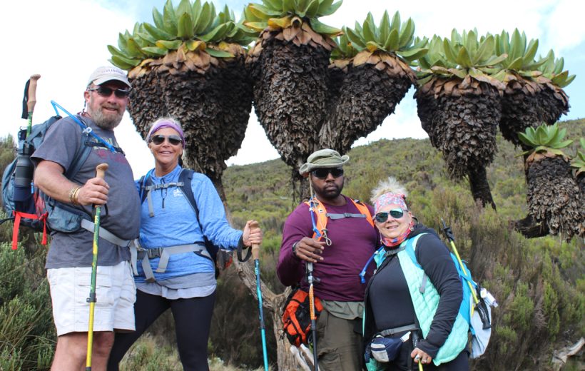 6 Days Kilimanjaro Climb Lemosho Route
