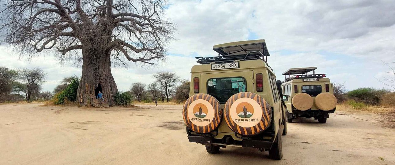 Recommended Adventure Safari Itineraries for 2026/2027