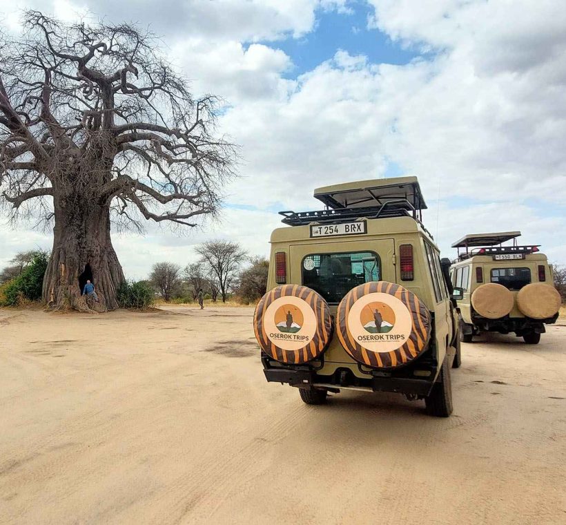Recommended Adventure Safari Itineraries for 2026/2027