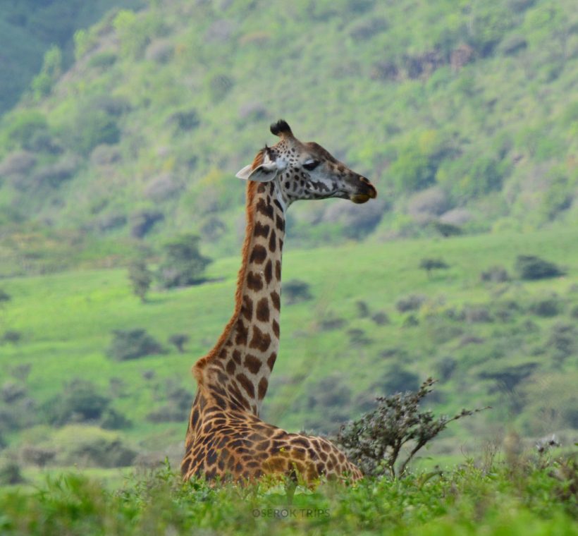 What Additional Costs Should You Expect While in Tanzania