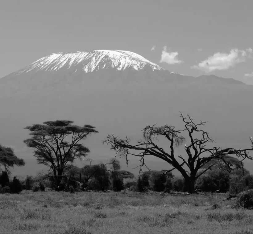 Kilimanjaro Travel Guide