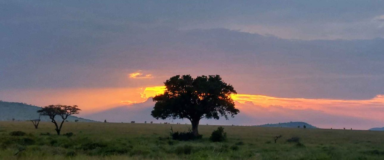 How Many Days Should You Spend in Tanzania for a Safari Holiday?