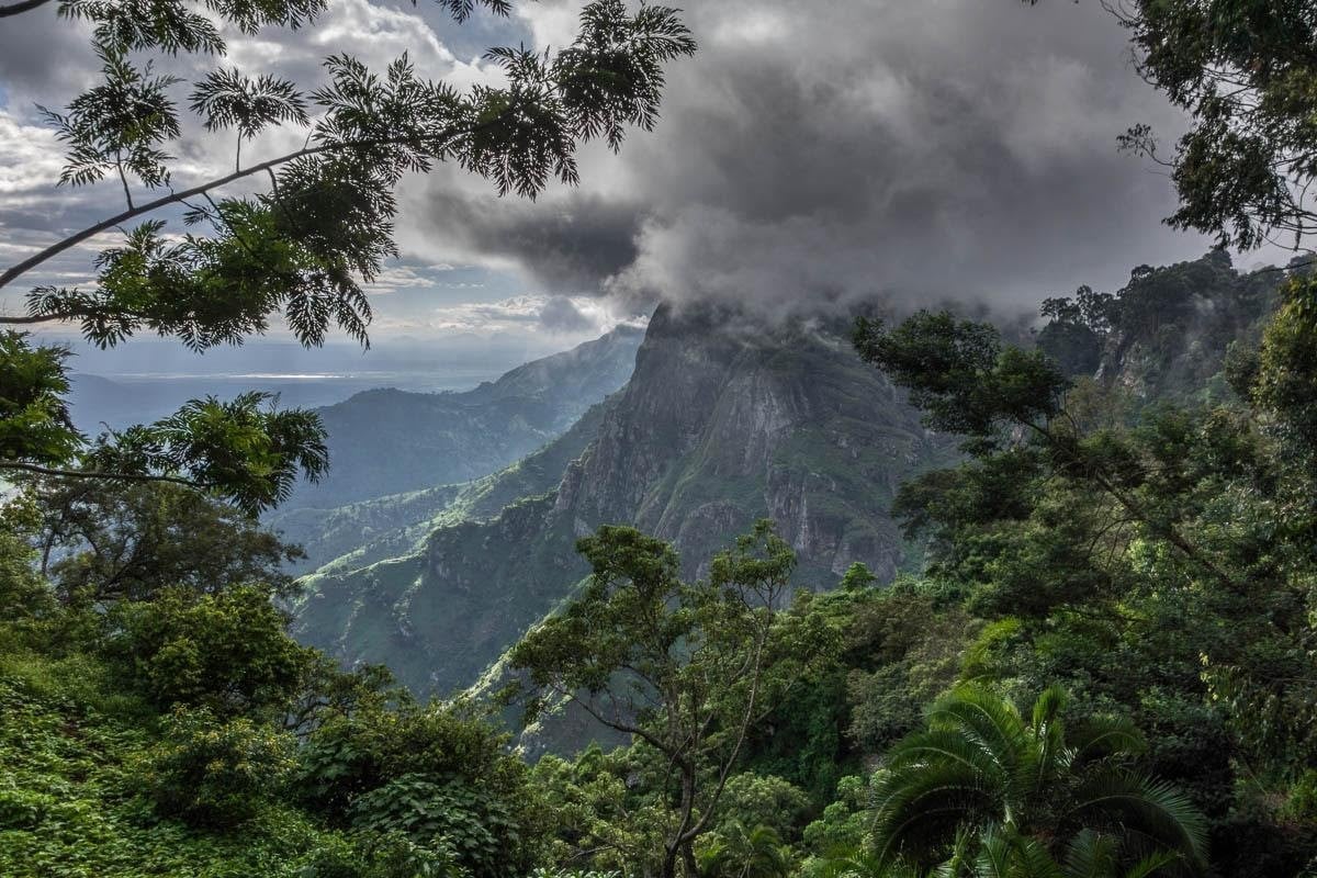 Usambara Mountains Experiences