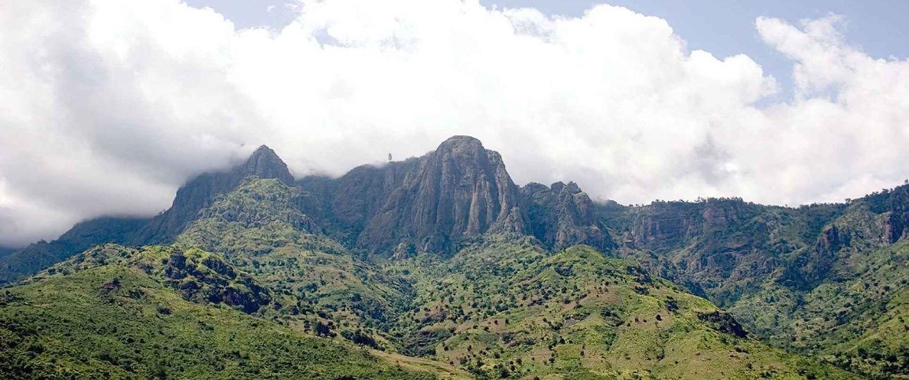 Usambara Mountains Experiences