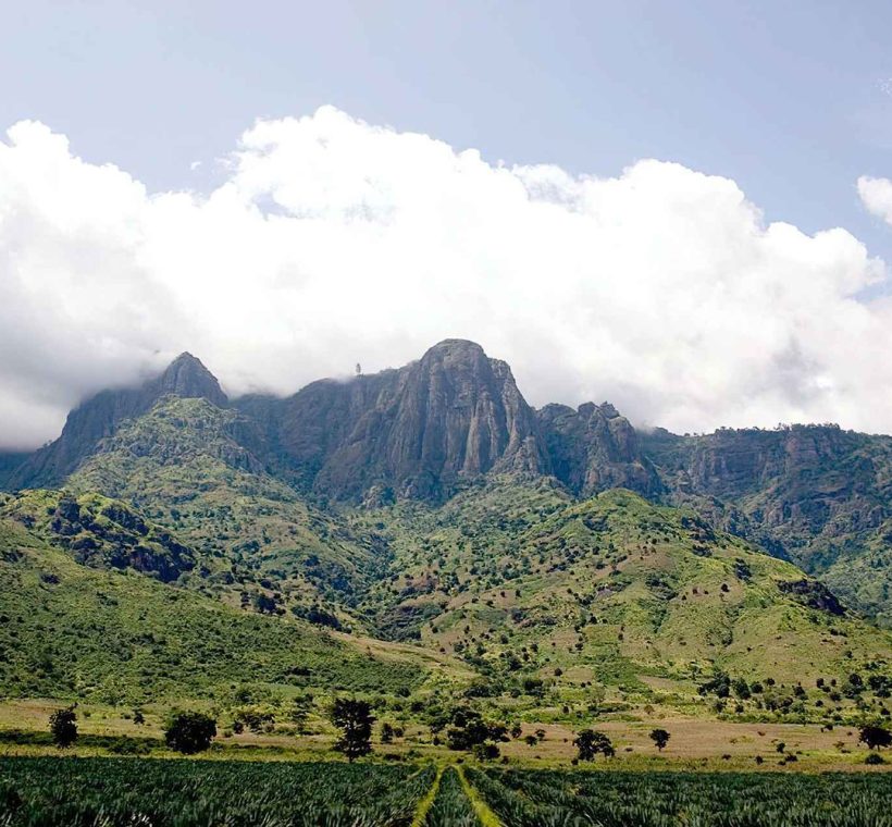 Usambara Mountains Experiences