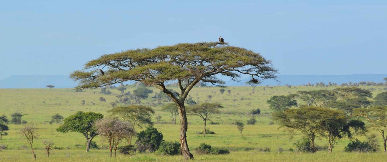 Budget-Friendly Attractions in Tanzania