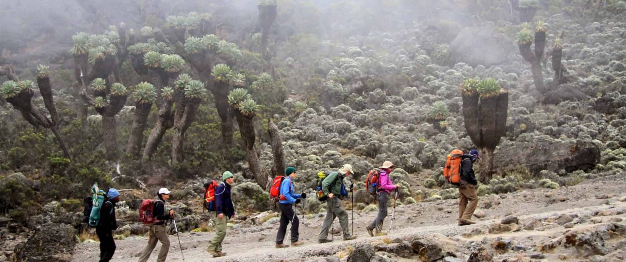 Unexpected Weather on Kilimanjaro