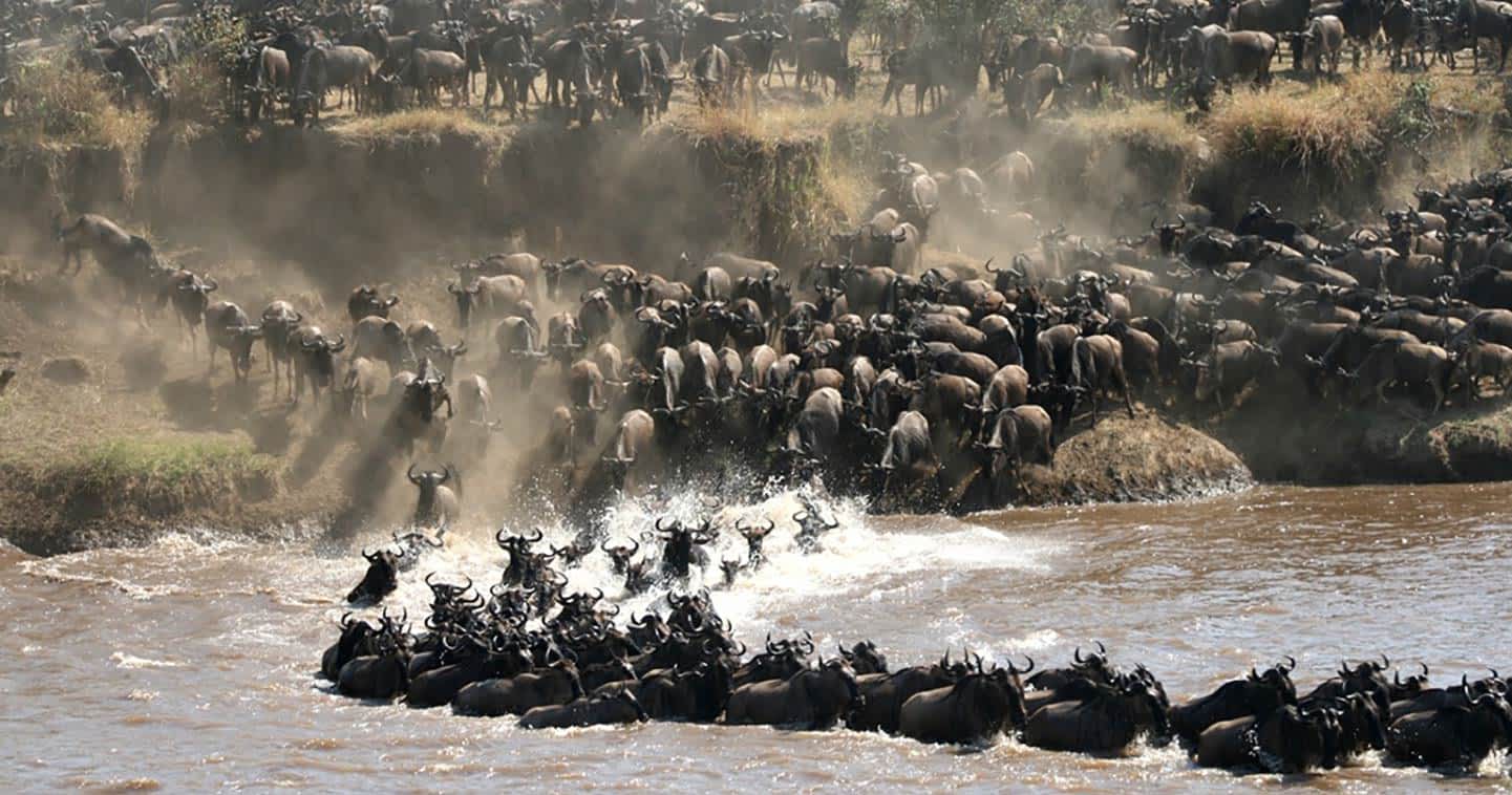 Recommended Adventure Safari Itineraries for 2026/2027