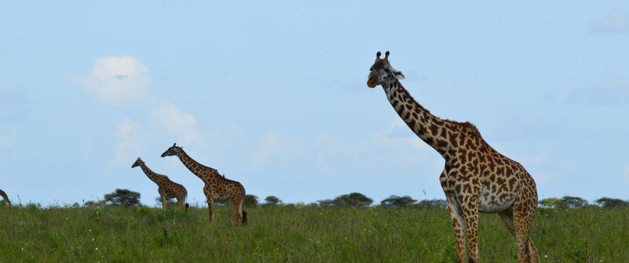 Responsible and Sustainable Tourism in Tanzania