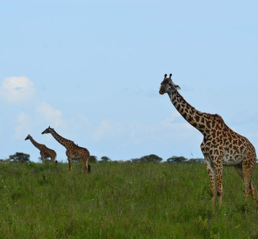 Responsible and Sustainable Tourism in Tanzania